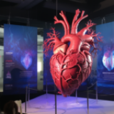 22 / 10 / 2026 | Sanità digitale e innovazione: a Roma il FORUM PA Sanità 2026